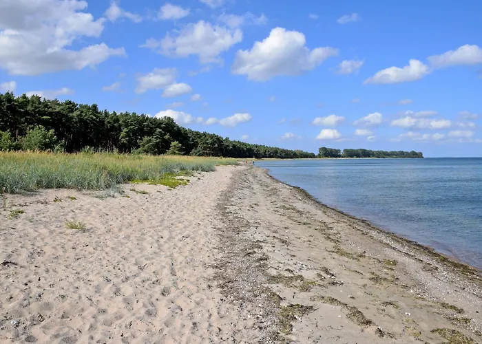Проживание в семье Bauernkaten Mit Terrasse Und Kamin Bei Stahlbrode Falkenhagen (Mecklenburg-Vorpommern)