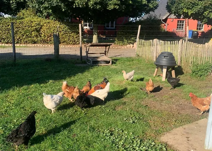 Bauernkaten Mit Terrasse Und Kamin Bei Stahlbrode Falkenhagen (Mecklenburg-Vorpommern)